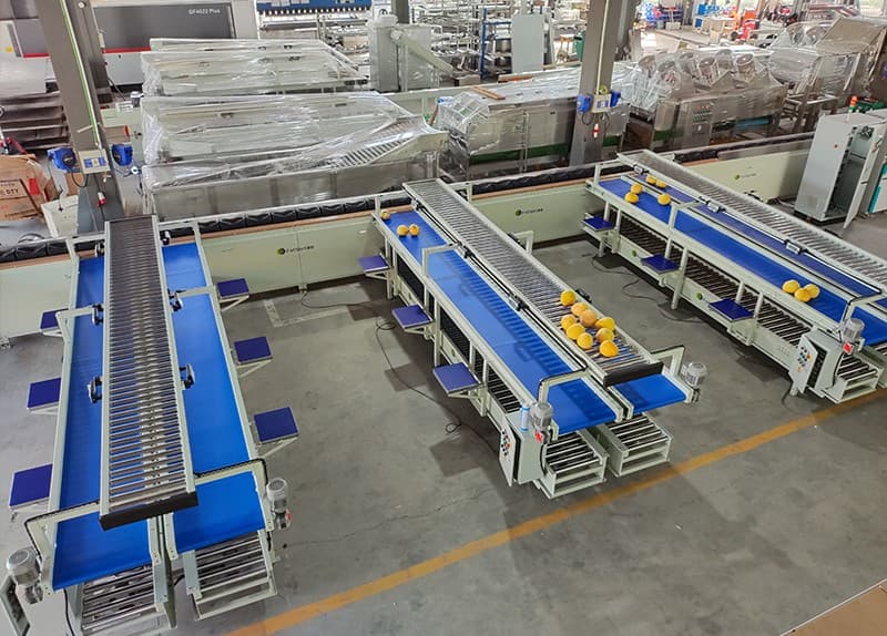 images/1736740467489grapefruit grading machine.jpg